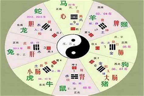 癸卯年五行|八字納音五行解析——金鉑金